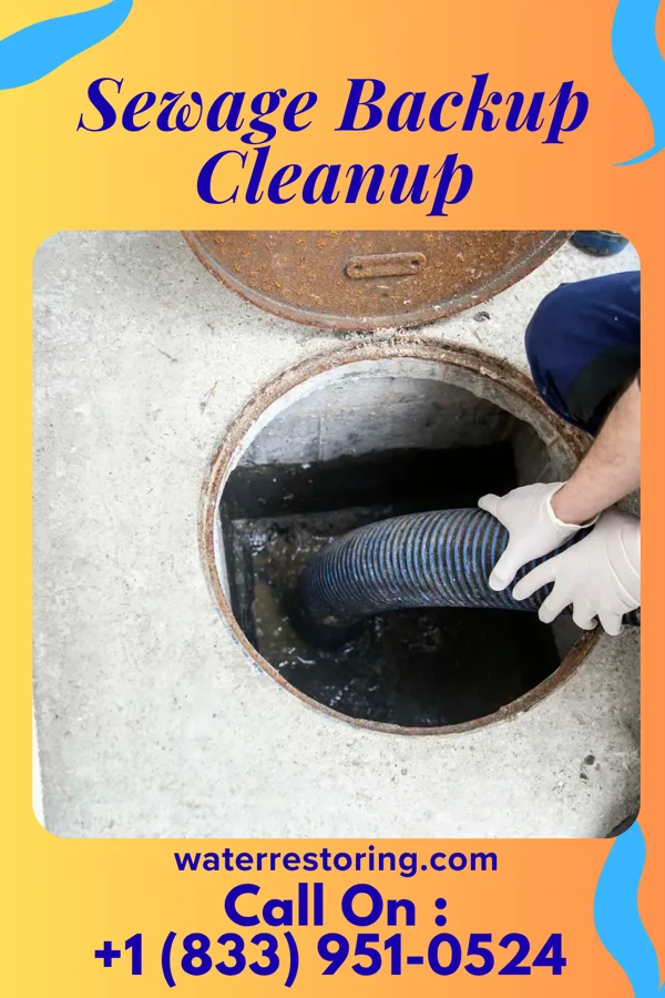 Sewage Backup Cleanup in Cowley, WY